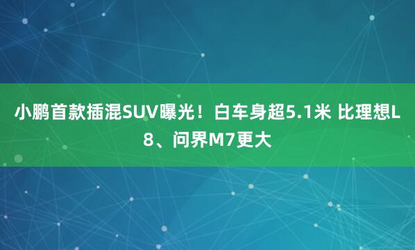 小鹏首款插混SUV曝光！白车身超5.1米 比理想L8、问界M7更大